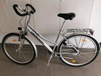 Damen Fahrrad Dresden - Klotzsche Vorschau