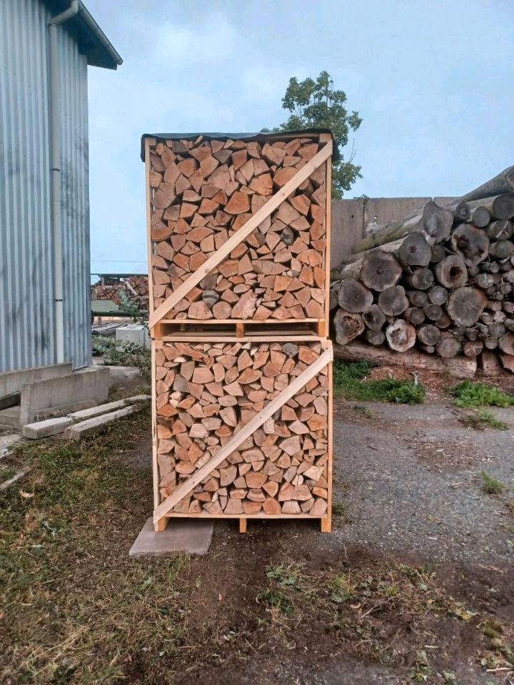 Brennholz Kaminholz Buche Buchenholz Feuerholz trocken in Drognitz