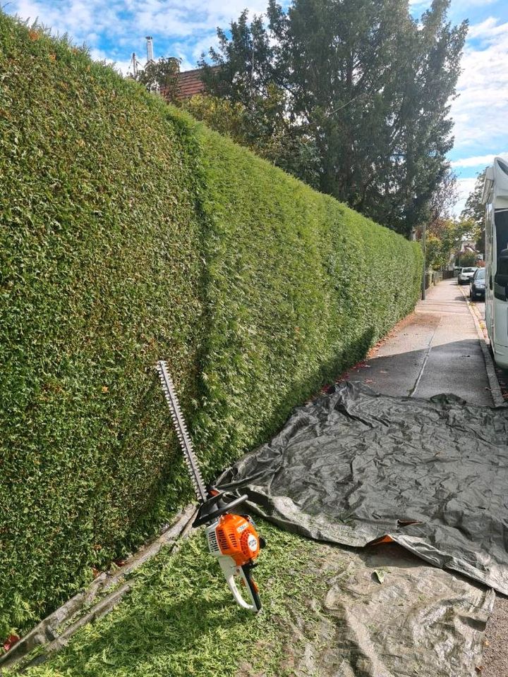 Gartenbau Gartenpflege Hecke schneiden ✅ Gartengestaltung✅ uvm.✅ in Memmingen