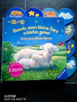 Buch ab 18+m Abends, wenn kleine Tiere schlafen gehen top Zustand Hessen - Stadtallendorf Vorschau