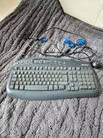 Microsoft Tastatur Hessen - Nidda Vorschau