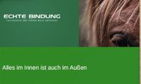 Problem Pferd Verhaltensauffälligkeiten Jungpferd Training Rheinland-Pfalz - Altenkirchen Vorschau