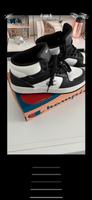 Champion Turnschuhe Gr 43 neu Brandenburg - Neuenhagen Vorschau