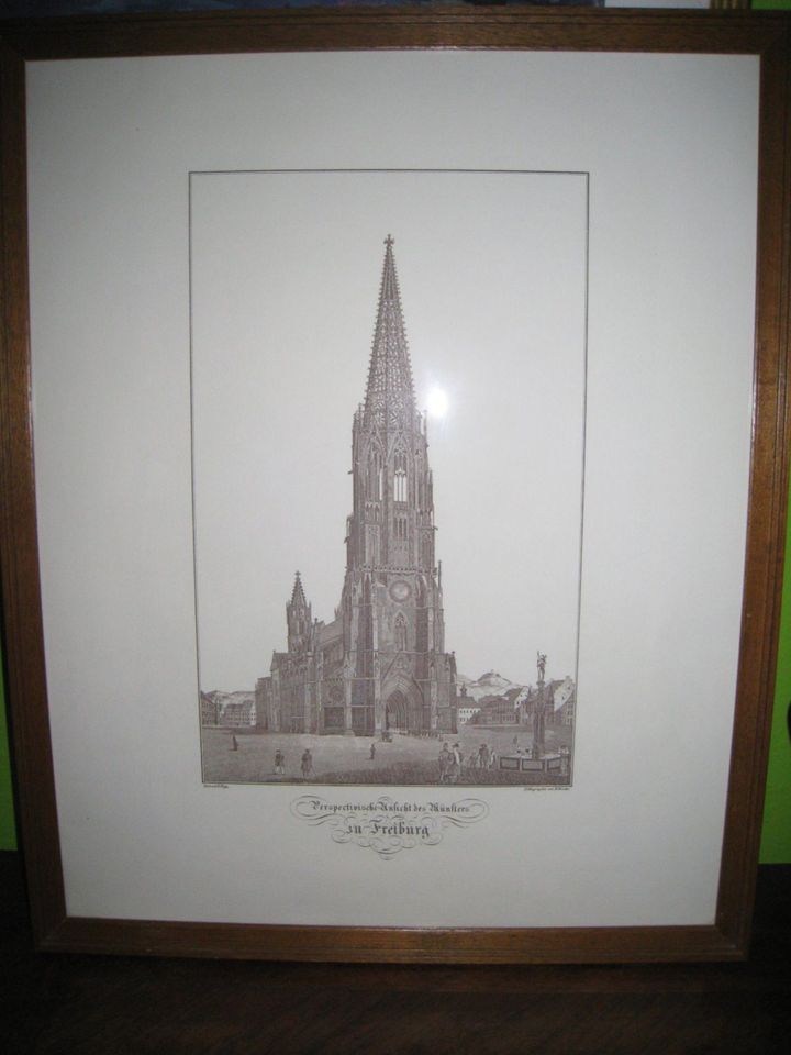 Bild Freiburger Münster Druck Lithographie von B. Herder in Hartheim