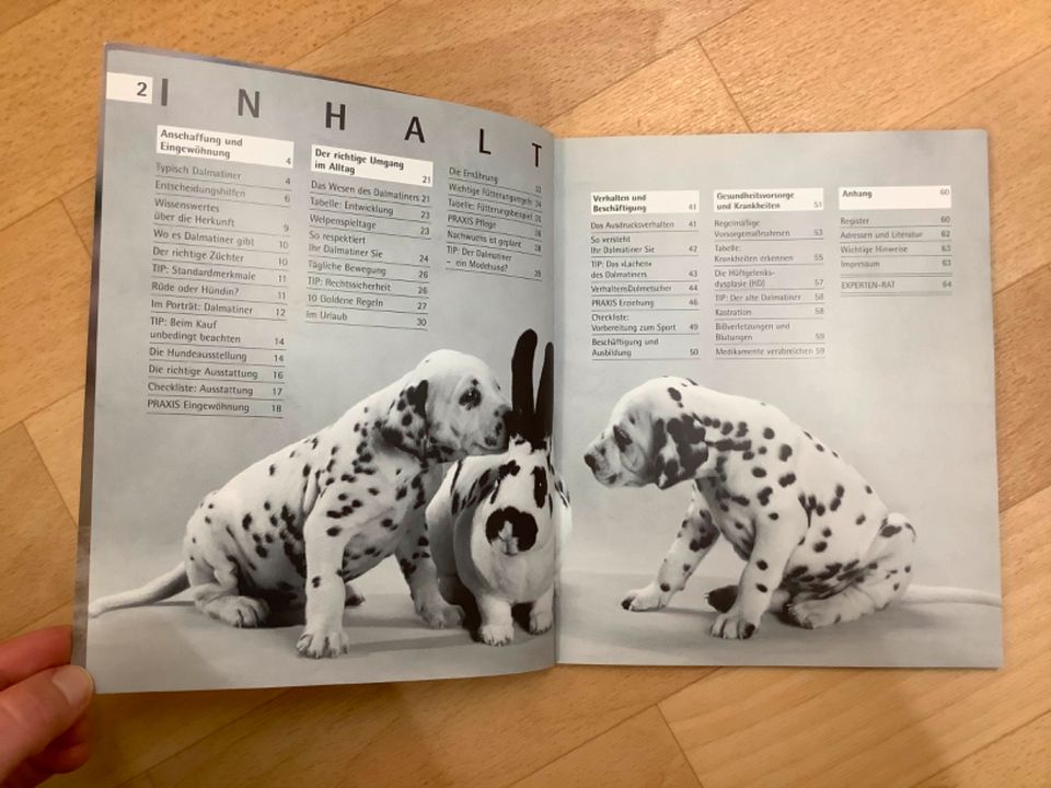 Welpen-Erziehung Chihuahua Dalmatiner Welpenschule César Millan in Bielefeld