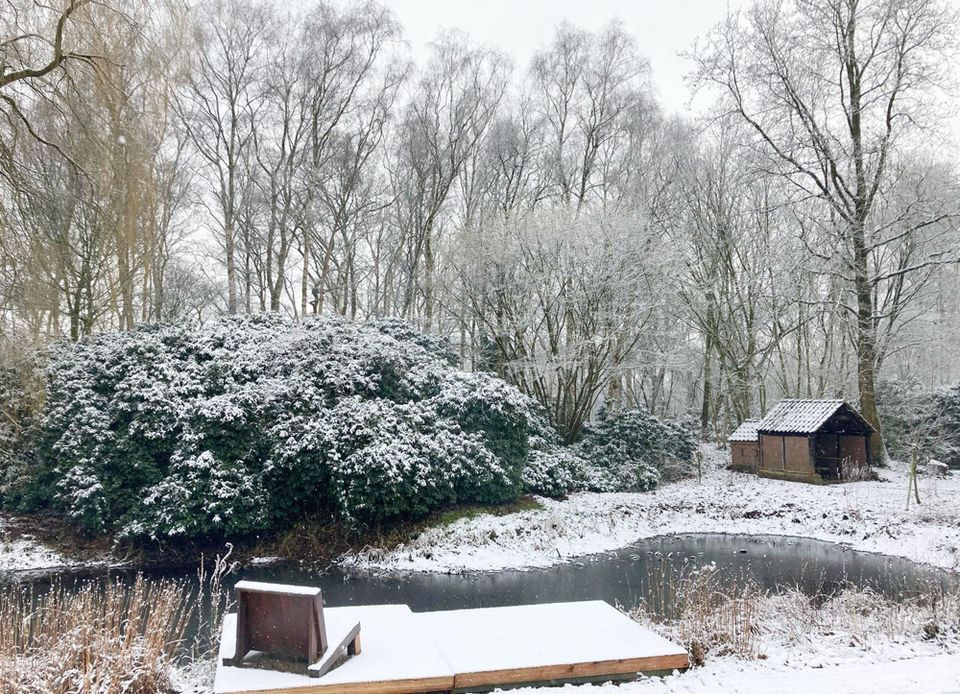 Friedrichsfehn - Ländlich Leben mit der Familie! Außenpool, Teich, div. Nebengebäude! in Edewecht - Friedrichsfehn