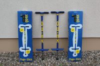 2 Pogo-Sticks Schleswig-Holstein - Rumohr Vorschau