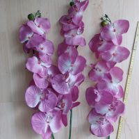 Künstliche Orchiden in Pink Schleswig-Holstein - Lübeck Vorschau