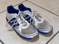 ADIDAS Turnschuhe Hallenschuhe  helle Sohle  Gr. 38 2/3 TOP Niedersachsen - Norden Vorschau