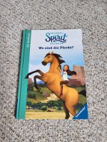 Buch für Erstleser "Spirit - wild und frei"  neu u. unbenutzt Sachsen-Anhalt - Genthin Vorschau