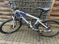 Mountainbike / Fahrrad / Trekkingrad / Rockraider Rheinland-Pfalz - Pfaffen-Schwabenheim Vorschau