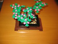Lego Bonsai Tree 10281 Niedersachsen - Vechta Vorschau