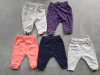 5 Babyhosen Jogginghosen Nordrhein-Westfalen - Kleve Vorschau