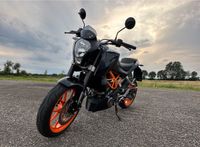 KTM Duke 390 Niedersachsen - Osterwald Vorschau