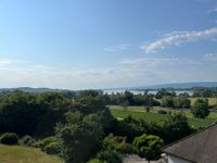 Obere Weinburg mit malerischer Seesicht Baden-Württemberg - Radolfzell am Bodensee Vorschau