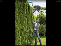 Hecke schneiden Heckenschnitt Rückschnitt Leipzig - Altlindenau Vorschau