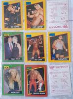WCW Sammelkarten und mehr...WWF,WWE , pin von doink the clown Brandenburg - Calau Vorschau