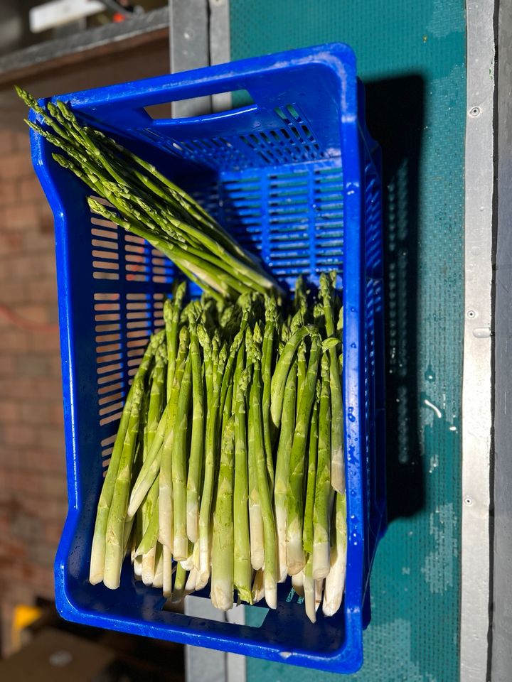 Suche Freundliche/r Verkäufer/in für Spargel & Erdbeeren in Grieben