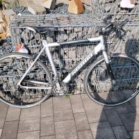 Nishiki Fahrrad Rheinland-Pfalz - Holsthum Vorschau