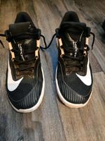 Nike Vapor Pro 3 Clay Sandplatzschuhe EUR 41 Saarland - Neunkirchen Vorschau