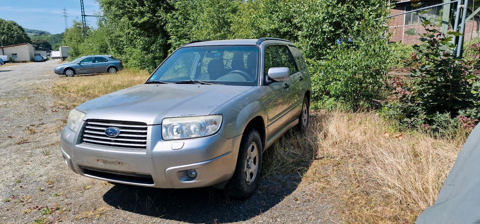 Teile Schlachtfest Subaru Forester 2.0 4WD, 158PS W48 in Siegen