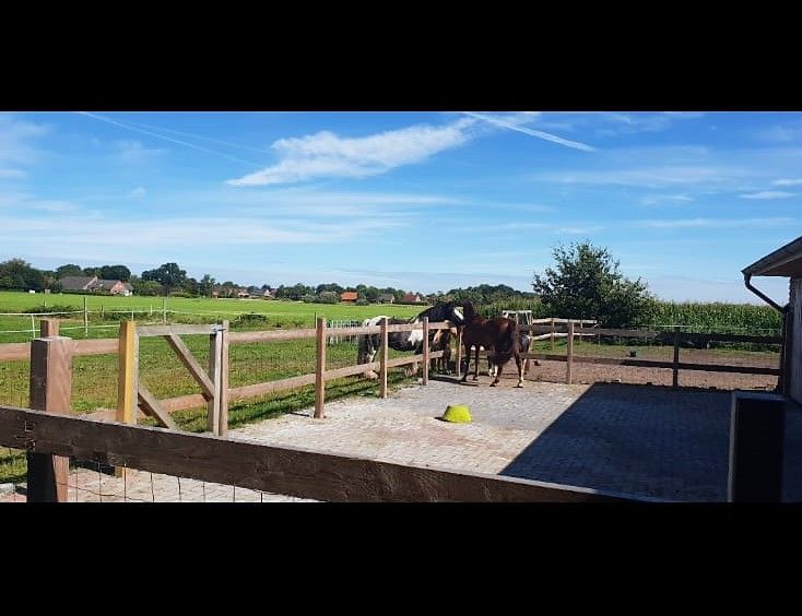 Pferdeliebhaber aufgepasst! Hofstelle in Top-Alleinlage mitten in Ostfriesland in Hesel