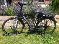 E-Bike Pegasus Solero E8 28/8 LED 450km top Rh 50 Berlin - Reinickendorf Vorschau