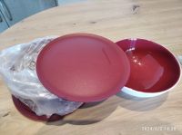 Tupperware C 156 Allegra Original verpackt Nordrhein-Westfalen - Krefeld Vorschau