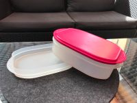 Tupperware Behälter Brombeere 2 teilig Berlin - Reinickendorf Vorschau