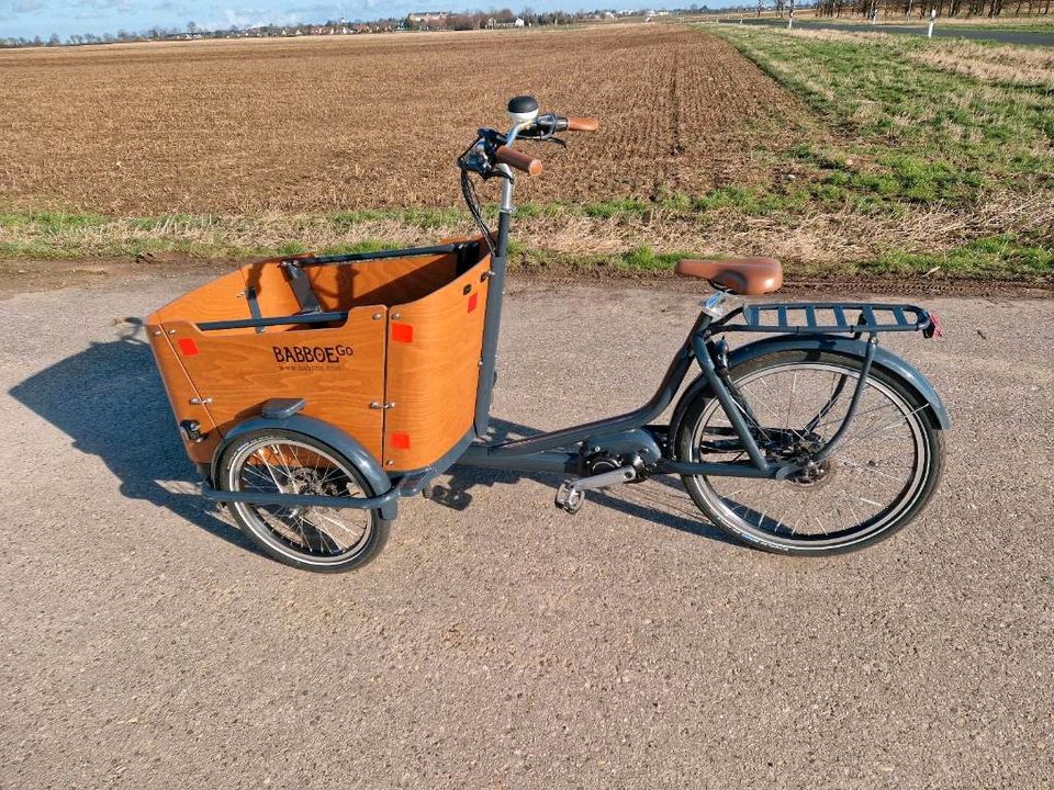 Babboe go Mountain E Lastenfahrrad in Zülpich