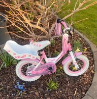 Volare 81203 Volare Rose Kinderfahrrad - Mädchen - 12,5 Zoll Sachsen - Beilrode Vorschau