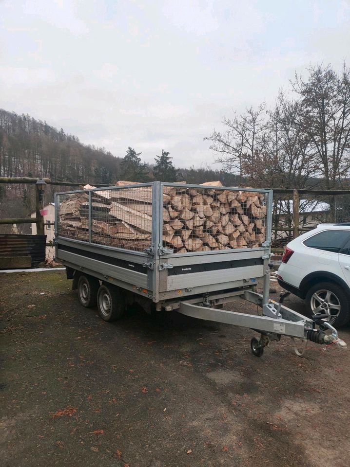 ❗Brennholz Buche Eiche Fichte zu verkaufen❗ in Biedenkopf