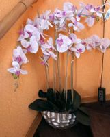 Orchidee Orchideenschiff gold/ weiß /pink QvC Muttertag Hannover - Linden-Limmer Vorschau