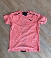Puma T-Shirt Sportshirt Gr. SM Gym Jogging Sports Hessen - Hanau Vorschau