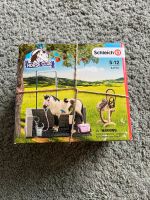 Schleich Horse Club Waschplatz Hessen - Nauheim Vorschau