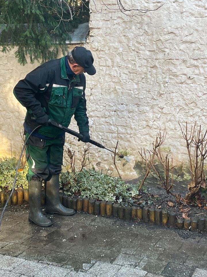 Gartenarbeit  Steinreinigung Gärtner in Oberdürenbach