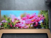 NEU & OVP Glasbild PRO ART 80x 30 cm Nordrhein-Westfalen - Elsdorf Vorschau