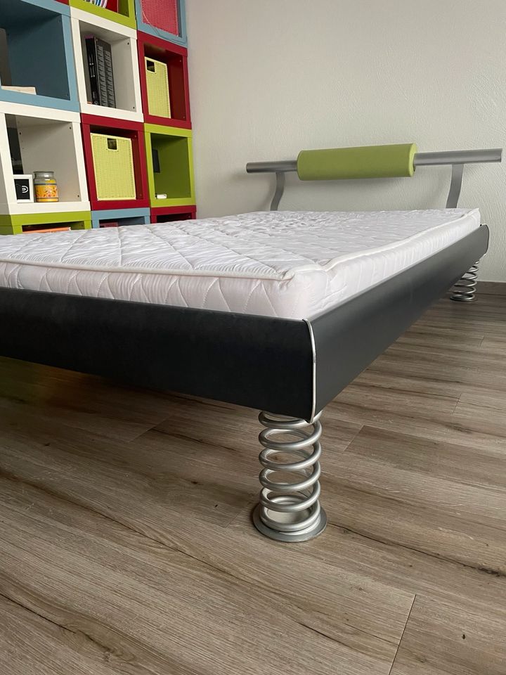 120x 200 Bett mit Lattenrost und Matratze in Gießen