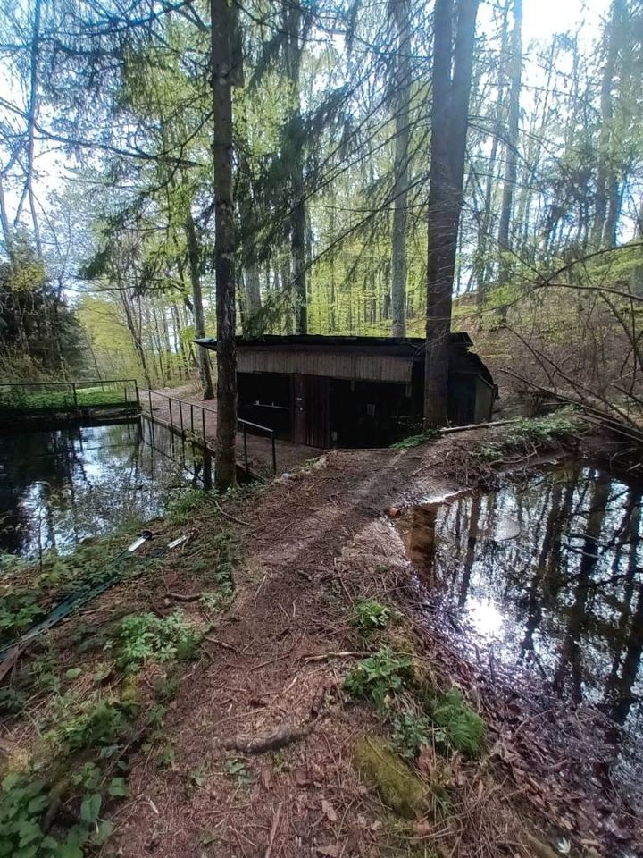Drei Fischweiher mit Hütte Freizeitgrundstück (Bestandsschutz!) in