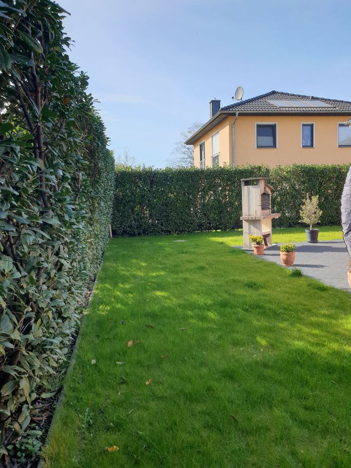 Sofort bezugsfreies gepflegtes Einfamilienhaus in Berlin-Buckow in Berlin