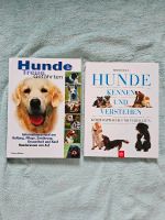 ❤️ 2 Bücher über Hunde, Haltung, Pflege, Ernährung...❤️ Sachsen - Wachau Vorschau