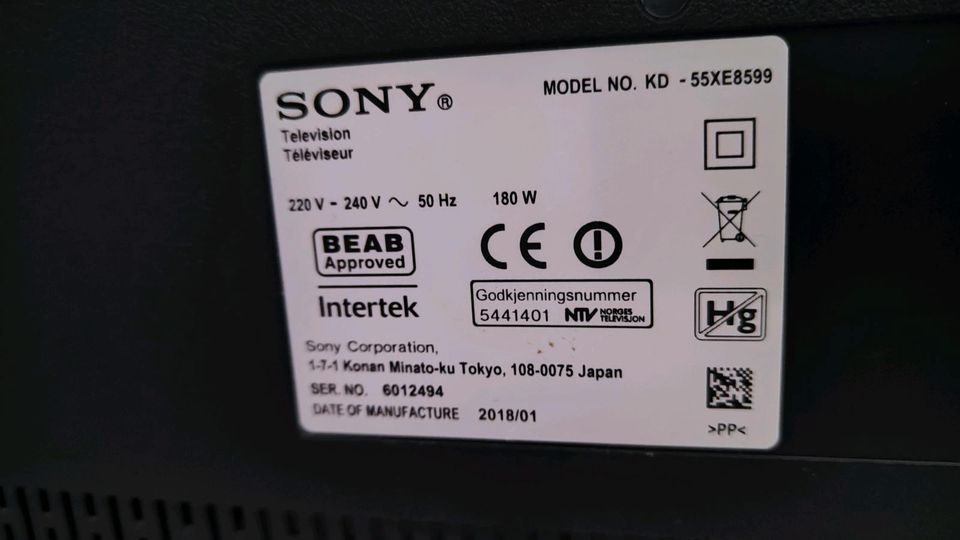 Sony 55 zoll (Defekt) in Ingelheim am Rhein