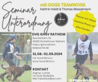 Hundeseminar Hundeausbildung Dogsteamwork Hückelhoven Nordrhein-Westfalen - Erkelenz Vorschau