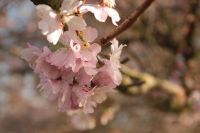 Fotofreundinnen für gemeinsame Fotos Hessen - Kassel Vorschau