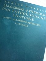 Allgemeine Pathologie u. Pathologische Anatomie (1935) Brandenburg - Am Mellensee Vorschau