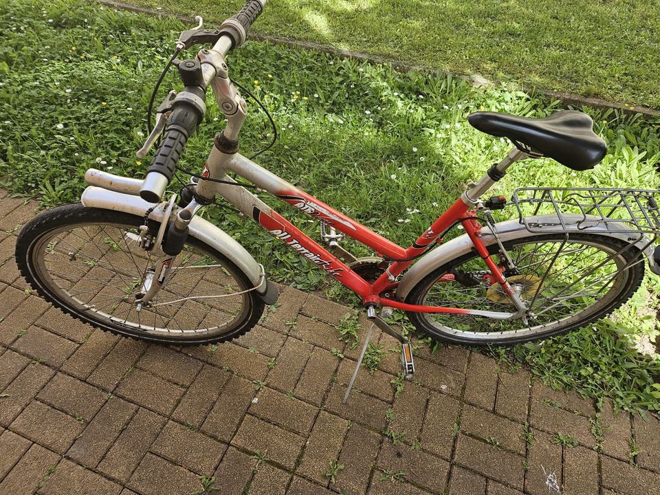 Herren Fahrrad in Rüsselsheim