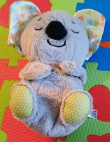 Schlummer-Koala von Fisher Price Lindenthal - Köln Sülz Vorschau