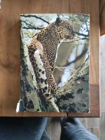 Zoo Ostafrika Buch Bilder Tierbuch Niedersachsen - Braunschweig Vorschau