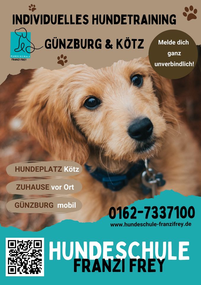 Hundeschule Hundetraining Welpenschule Einzel-oder Gruppentrainin in Günzburg