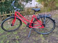Damen Trekkingrad von der Fahrradmanufaktur Velo de Ville Niedersachsen - Königslutter am Elm Vorschau